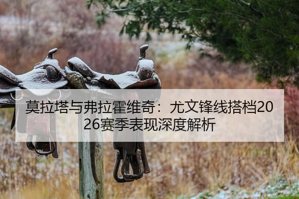 莫拉塔与弗拉霍维奇：尤文锋线搭档2026赛季表现深度解析
